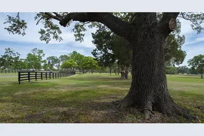 13381 W Hwy 40 (Lot 6), Ocala, FL 34481 - Photo 7