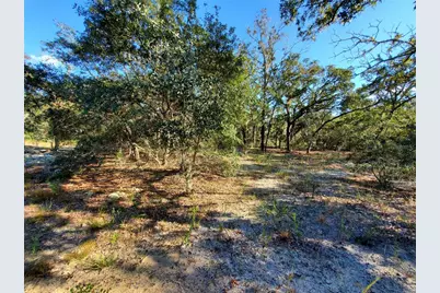 Lot 4 SW Paradise Heights Road, Dunnellon, FL 34431 - Photo 1