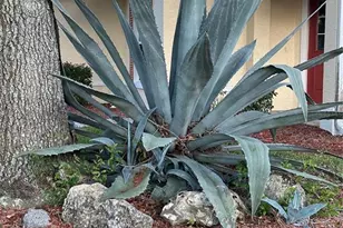 9706 SW 92nd Place Rd, Ocala, FL 34481 - Photo 43