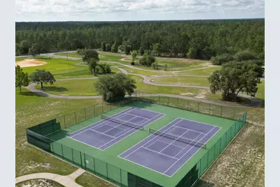 Lot 1 SW Pine Bluffs Road, Dunnellon, FL 34431 - Photo 15