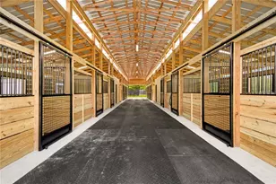 6140 NW 145th Avenue Rd, Morriston, FL 32668 - Photo 59