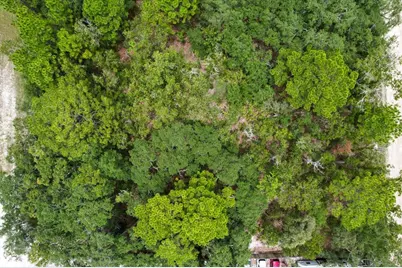 17192 Nicasio Jay Avenue, Brooksville, FL 34614 - Photo 5