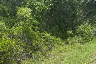 00 SE 186th Ct, Ocklawaha, FL 32179 - Photo 1