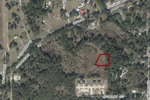 00 SW Roosevelt, Mayo, FL 32066 - Photo 1