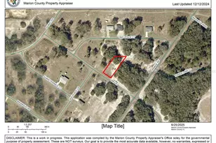 0 Bay Pl, Ocklawaha, FL 32179 - Photo 1