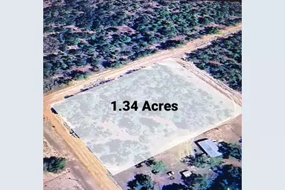 0 Flamingo Boulevard, Interlachen, FL 32148 - Photo 3