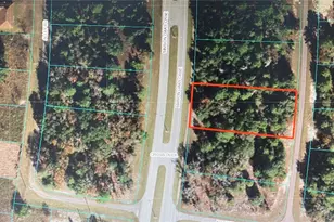 Tba SW Marion Oaks Crse, Ocala, FL 34473 - Photo 1