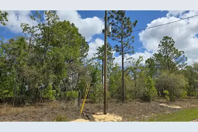 6745 N Darlington Drive, Dunnellon, FL 34434 - Photo 5