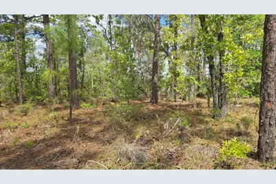 6745 N Darlington Drive, Dunnellon, FL 34434 - Photo 3