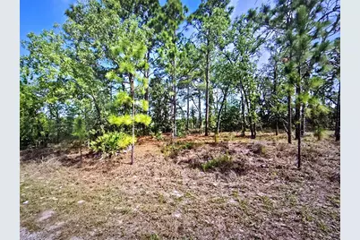 6745 N Darlington Drive, Dunnellon, FL 34434 - Photo 3