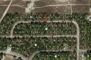 6745 N Darlington Dr, Dunnellon, FL 34434 - Photo 1