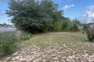 499 Water Rd, Ocala, FL 34472 - Photo 13