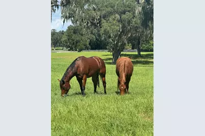 Tbd SE 157th Street Rd, Summerfield, FL 34491 - Photo 9