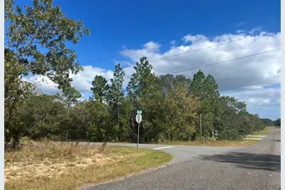 Tbd Locust Loop Place Lot 7, Ocala, FL 34472 - Photo 5