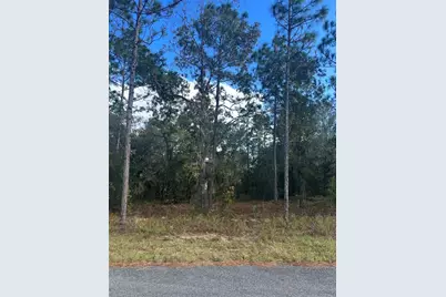 Tbd Locust Loop Place Lot 7, Ocala, FL 34472 - Photo 3