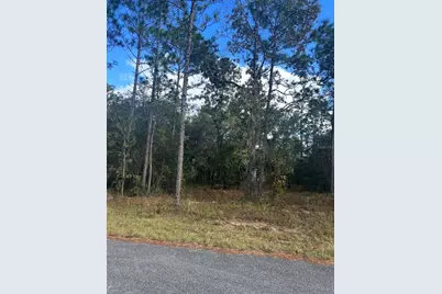 Tbd Locust Loop Place Lot 7, Ocala, FL 34472 - Photo 1