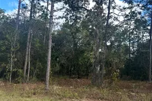 Tbd Locust Loop Pl Lot 7, Ocala, FL 34472 - Photo 1