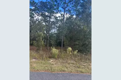 Tbd Locust Loop Place Lot 8, Ocala, FL 34472 - Photo 1