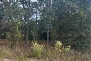 Tbd Locust Loop Pl Lot 8, Ocala, FL 34472 - Photo 1