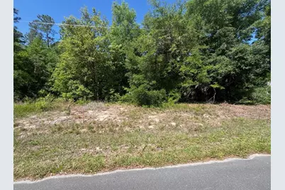 Tbd Locust Course Radial Lot 20, Ocala, FL 34472 - Photo 1