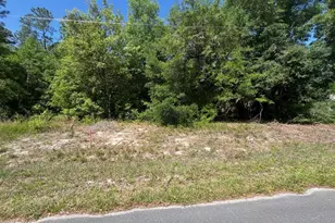 Tbd Locust Course Radial Lot 20, Ocala, FL 34472 - Photo 1