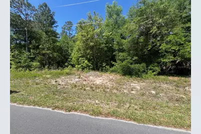 Tbd Locust Course Radial Lot 20, Ocala, FL 34472 - Photo 3
