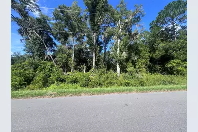 Tbd Locust Course Radial Lot 20, Ocala, FL 34472 - Photo 1