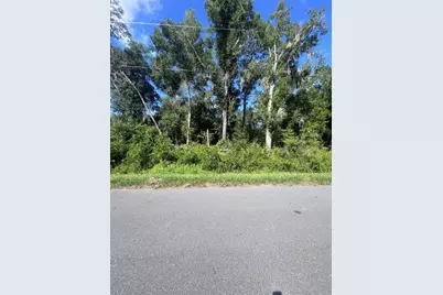 Tbd Locust Course Radial Lot 20, Ocala, FL 34472 - Photo 3