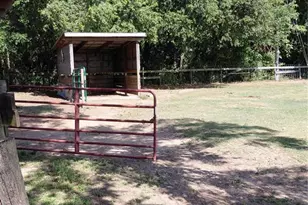 33 Pine Trace Course, Ocala, FL 34472 - Photo 65