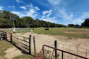 33 Pine Trace Course, Ocala, FL 34472 - Photo 61