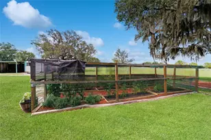 12651 SE Co Rd 337, Dunnellon, FL 34431 - Photo 47