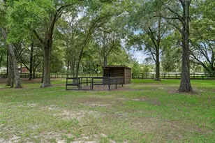 1960 NW 73rd Terrace, Ocala, FL 34482 - Photo 61