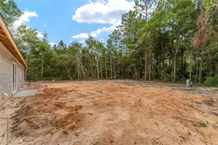 11506 NW 20th St, Ocala, FL 34482 - Photo 35