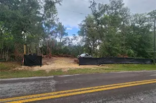 3919 E Orchid St, Hernando, FL 34442 - Photo 1