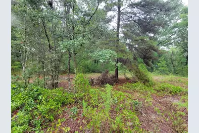 0 SW Driftwood Court, Dunnellon, FL 34431 - Photo 3