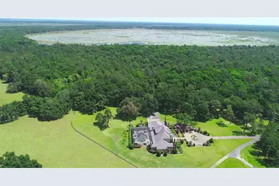 15305 NW Hwy 320, Micanopy, FL 32667 - Photo 5