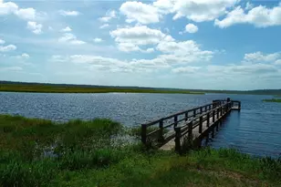 15305 NW Hwy 320, Micanopy, FL 32667 - Photo 69