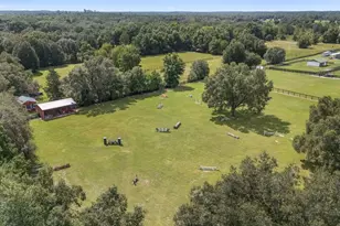 14500 NW Hwy 464B, Morriston, FL 32668 - Photo 39