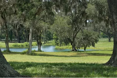 5540 SE 157th Street Road, Summerfield, FL 34491 - Photo 17