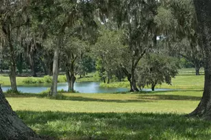5540 SE 157th Street Rd, Summerfield, FL 34491 - Photo 17