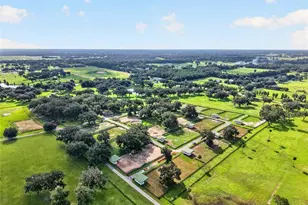 5540 SE 157th Street Rd, Summerfield, FL 34491 - Photo 17