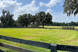 5540 SE 157th Street Rd, Summerfield, FL 34491 - Photo 21