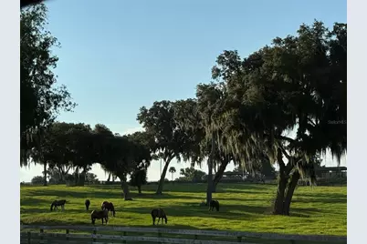 5540 SE 157th Street Road, Summerfield, FL 34491 - Photo 25