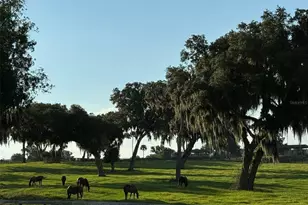5540 SE 157th Street Rd, Summerfield, FL 34491 - Photo 25