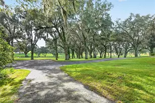 5540 SE 157th Street Rd, Summerfield, FL 34491 - Photo 47