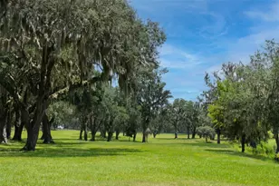 5540 SE 157th Street Rd, Summerfield, FL 34491 - Photo 15