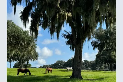 5540 SE 157th Street Road, Summerfield, FL 34491 - Photo 25