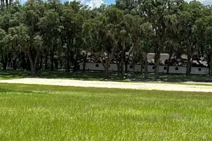 5540 SE 157th Street Rd, Summerfield, FL 34491 - Photo 21