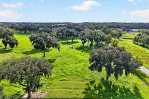 5540 SE 157th Street Rd, Summerfield, FL 34491 - Photo 73