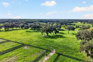 5540 SE 157th Street Rd, Summerfield, FL 34491 - Photo 15